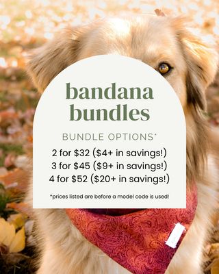MYSTERY BUNDLE: Bandanas