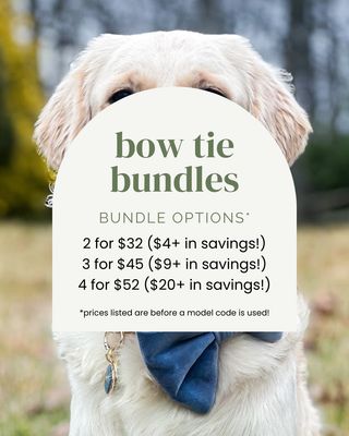 MYSTERY BUNDLE: Bow Ties
