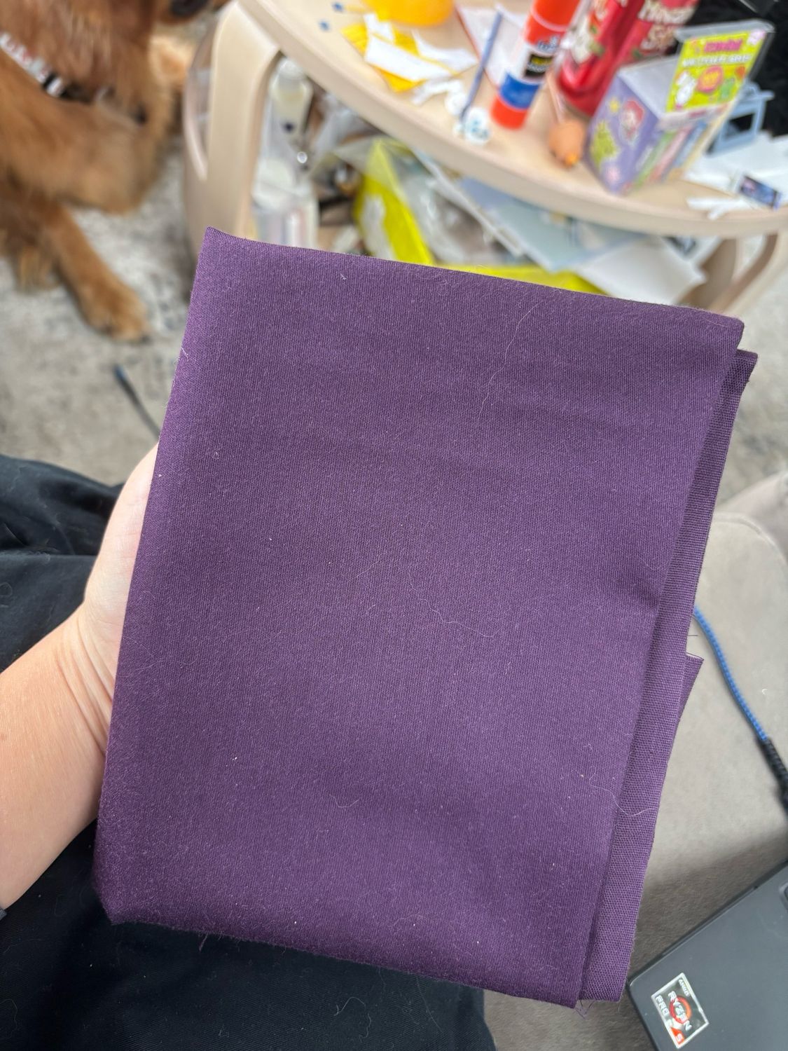 POPPY - Purple &amp; Black Bow