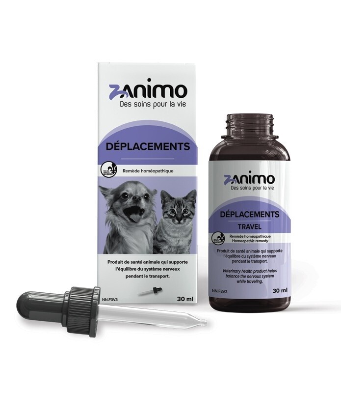 Zanimo / Déplacements