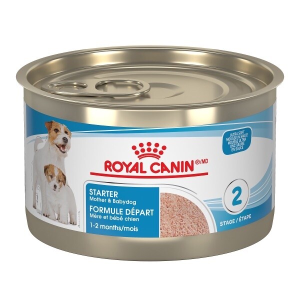 Royal Canin / Chiot / départ mère et bébé / mousse / 145 g (5.1 oz)