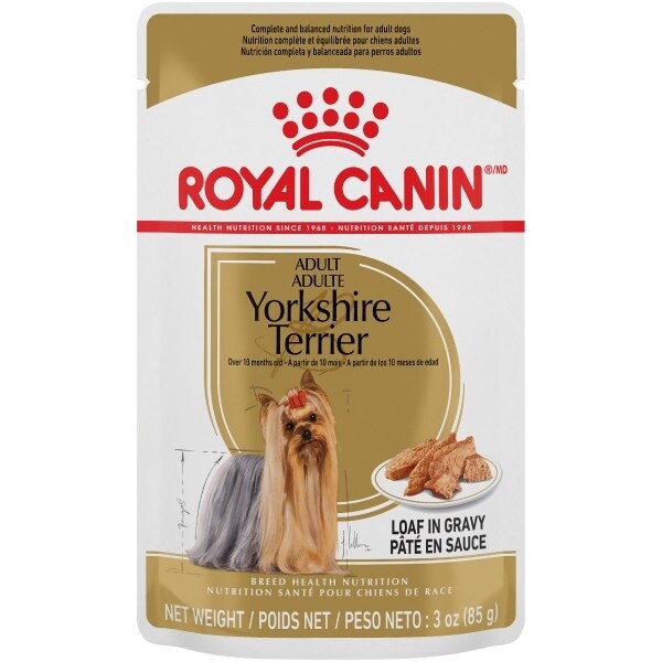 Royal Canin / Chien / Yorkshire terrier / pochette de fines tranches en sauce 85 g (3 oz)