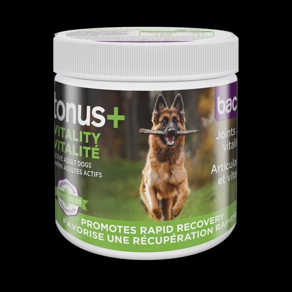 Baci + / Chien / Tonus+ Vitalité / formule en poudre