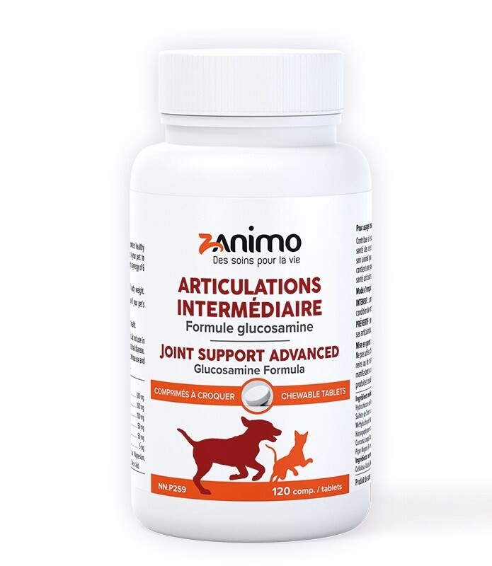 Zanimo / Articulations Intermédiaire