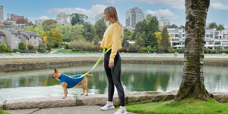 RC Pets / Chien &amp; Chat / Laisse Active de Base