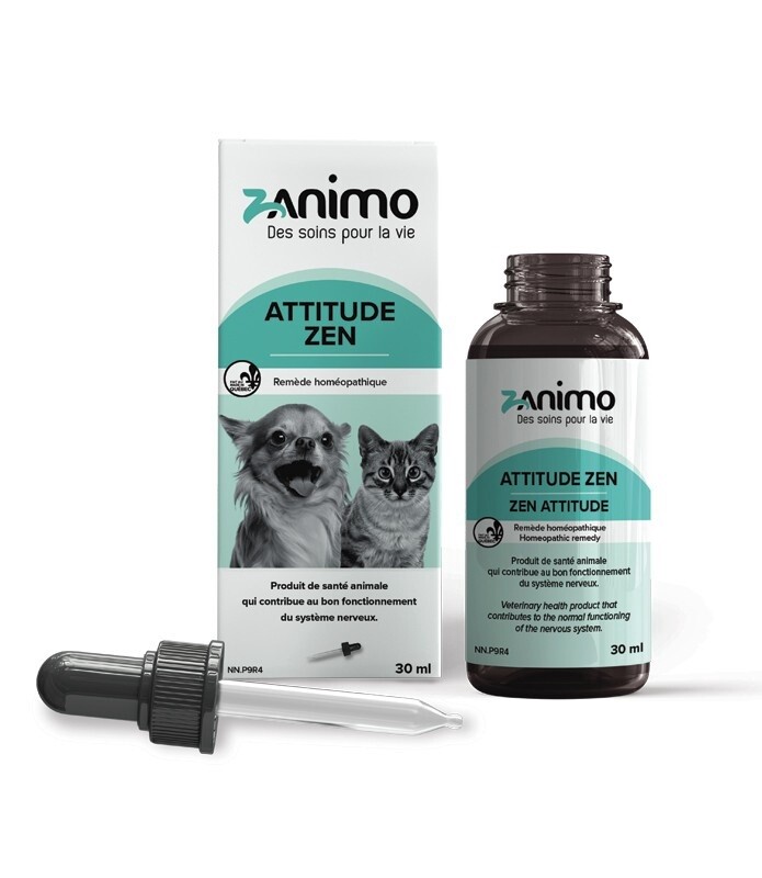 Zanimo / Attitude Zen