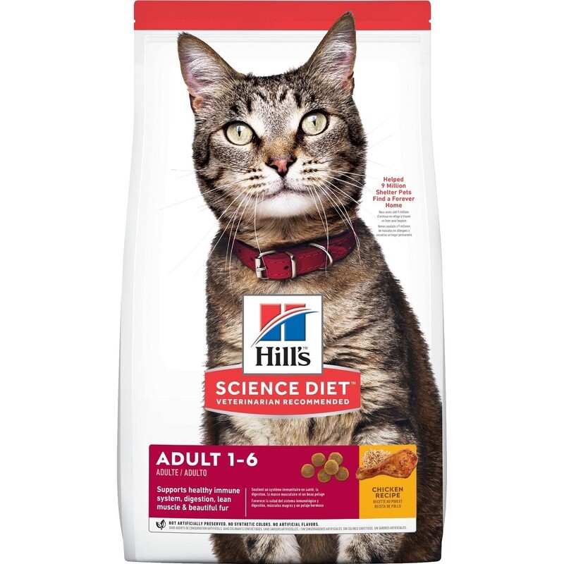 Hill&#39;s / Chat  / Adulte