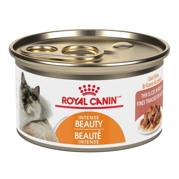 Royal Canin / Chat / beauté intense / fines tranches en sauce / 85g (3 oz)