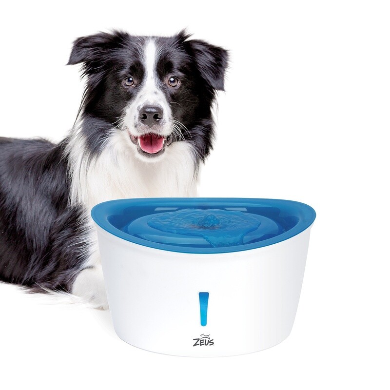 Zeus / Chien / abreuvoir Cascade 6L