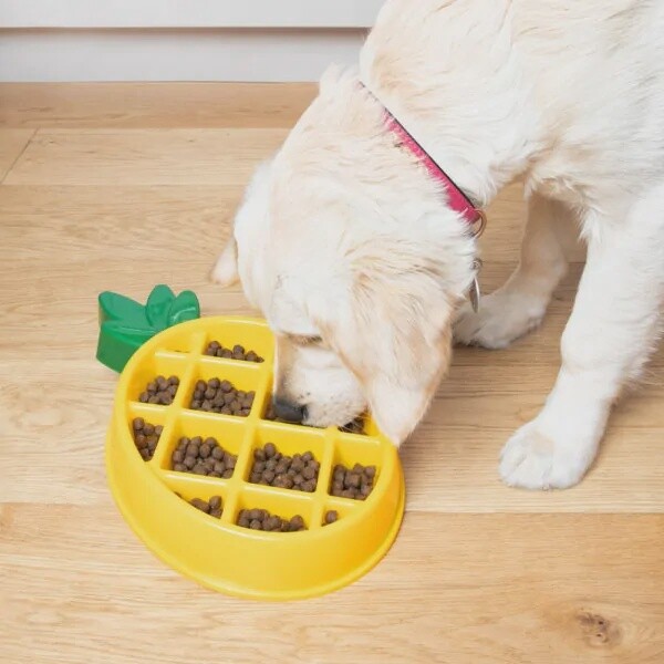 Zippy paws / Happy bowls/ Bol ralentisseur  / Ananas / 9&quot;