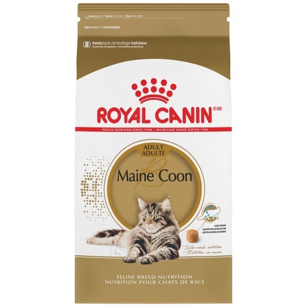 Royal Canin / Chat / Main coon