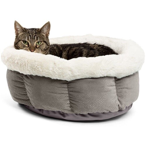 Best Friends by Sheri / Chien &amp; Chat / Lit « Cuddle Cup »