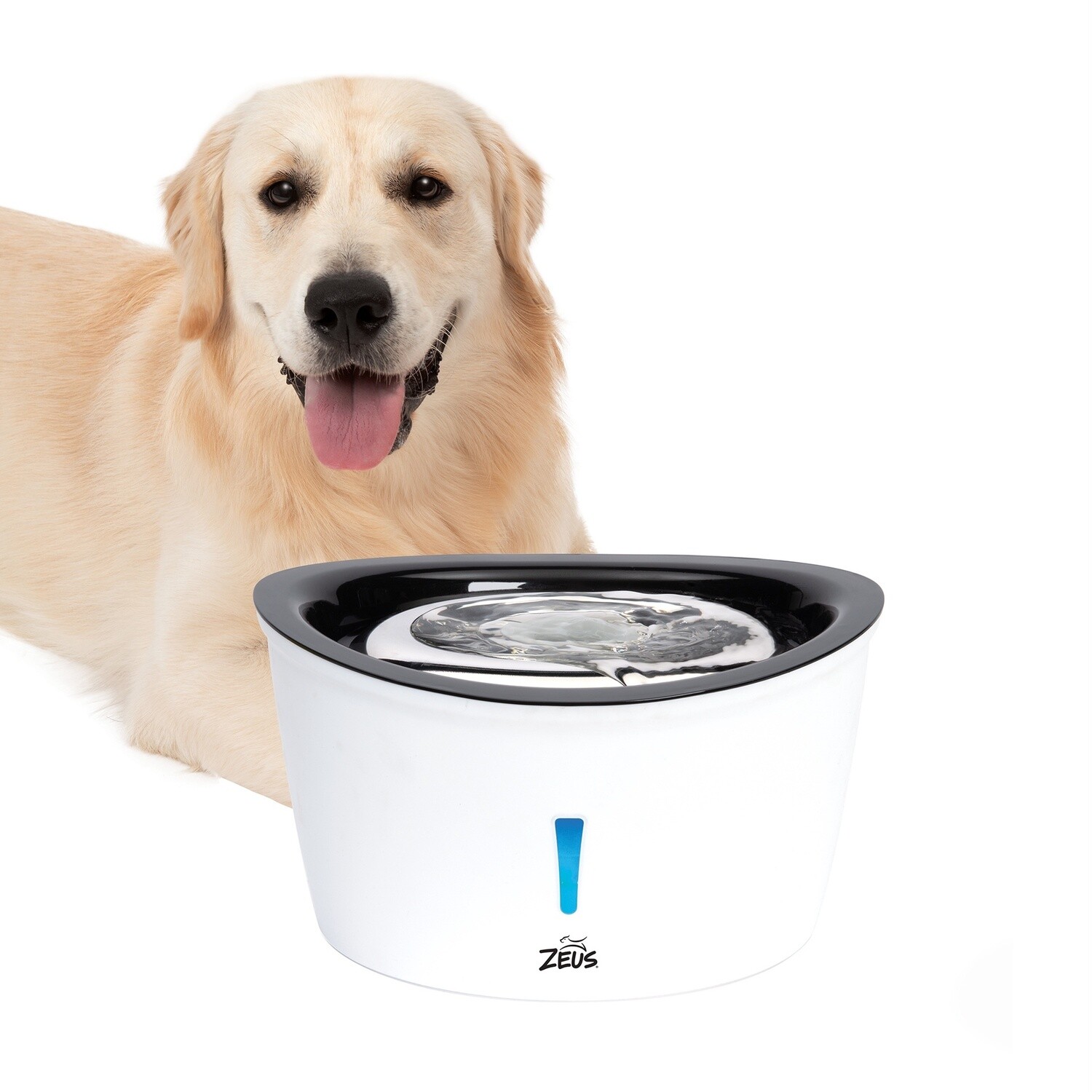 Zeus / Chien / abreuvoir Cascade 6L / acier inoxydable