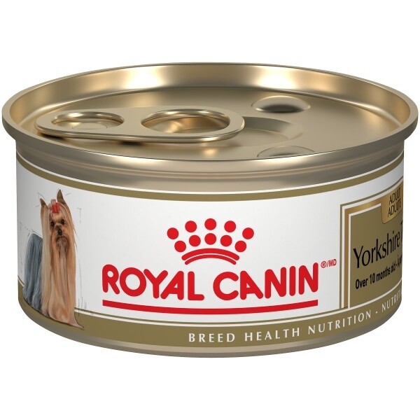 Royal Canin / Chien / Yorkshire terrier / pâté en sauce 85 g (3 oz)