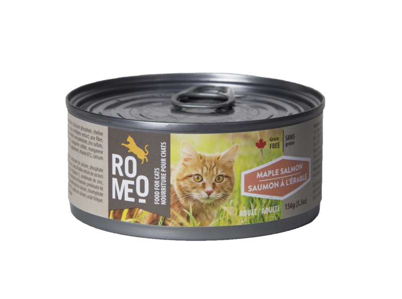 Roméo / Conserve / Chat / Adulte / Saumon à l&#39;Érable