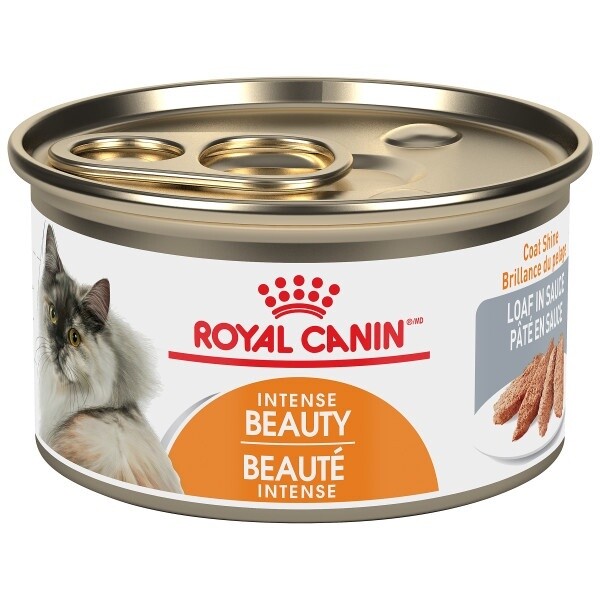 Royal Canin / Chat / beauté intense / pâté en sauce / 85g (3 oz)