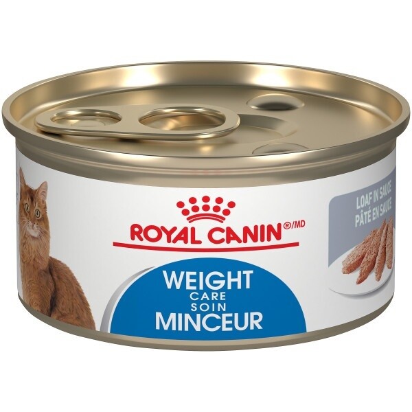 Royal Canin / Chat / soin minceur / pâté en sauce / 85g (3 oz)