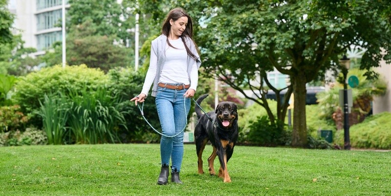RC Pets / Chien / Laisse « Rope »
