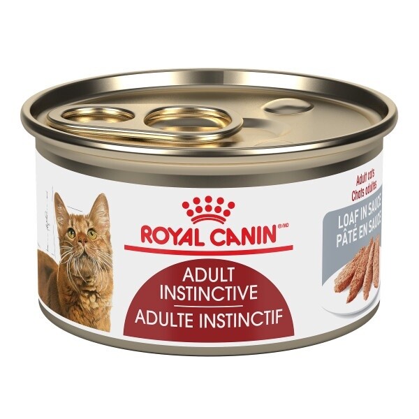 Royal Canin / Chat / instinctif / pâté en sauce / 85 g (3 oz)