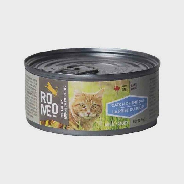 Roméo / Conserve / Chat / Adulte / Prise du Jour