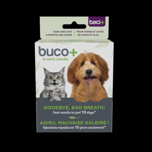 Baci + / Chien &amp; Chat / Buco + 10 jours