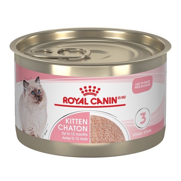 Royal Canin / Chaton / pâté en sauce