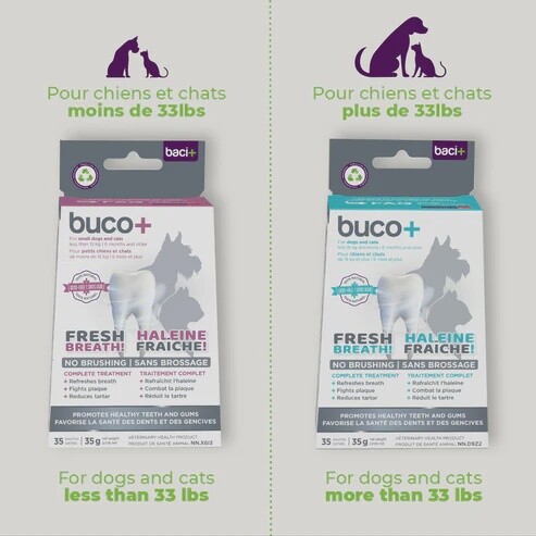 Baci + / Chien &amp; Chat / Buco + soins dentaires