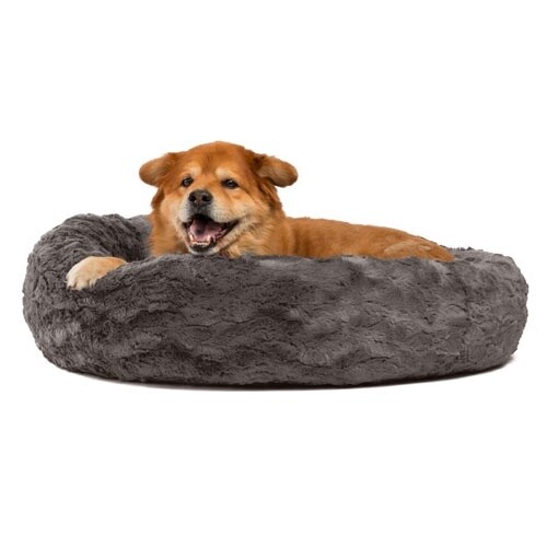 Best Friends by Sheri / Chien / Lit « Calming Donut »