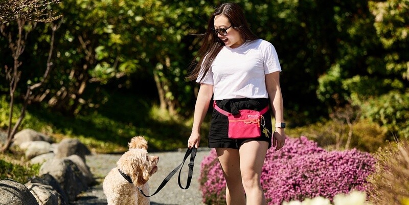 RC Pets / Chien / Sac à Gâteries Rapide