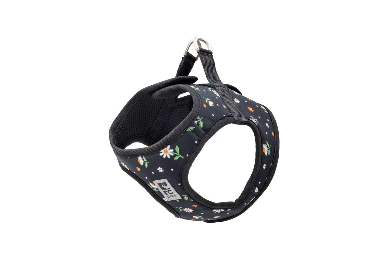 RC Pets / Chien / Harnais « Step In Cirque », Format &amp; Couleur: TTP / Marguerites