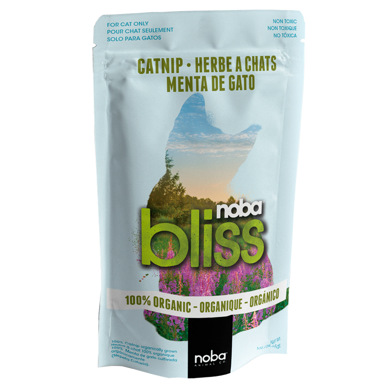 Noba / Bliss / Herbe à Chats