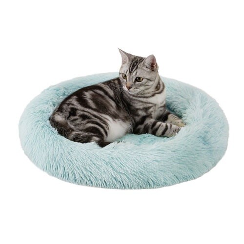 Best Friends by Sheri / Chat / Lit ovale, Couleur: Bleu-vert