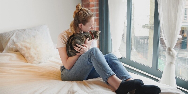 RC Pets / Chat / Collier Unis « Kitty Breakaway »