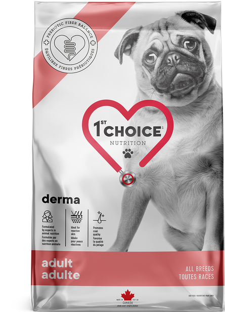 1st Choice Chien adulte derma saumon