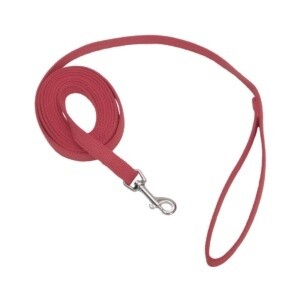 Coastal / Chien / Laisse de dressage en coton