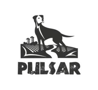 Pulsar