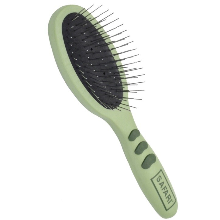 Safari / Chien / Brosse en acier