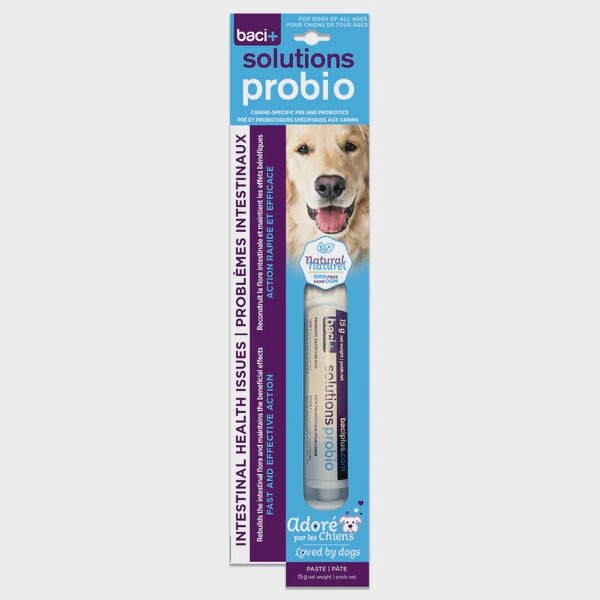 Baci+ / Chien / Solutions Probio / en pâte / 15g