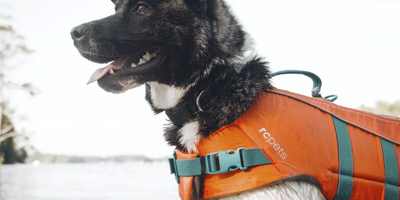 RC Pets / Chien / Gilet de sauvetage