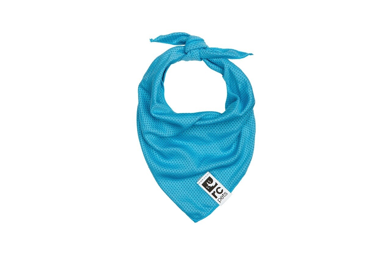RC Pets / Chien / Bandana refroidissant Zephyr, Format &amp; Couleur: P / M - Aqua
