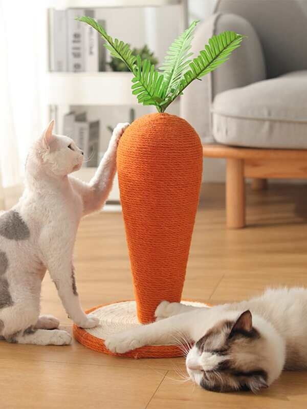 Griffoir carotte / Chat