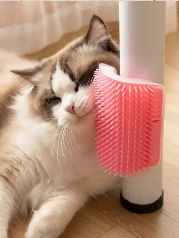 Brosse de massage / Chat