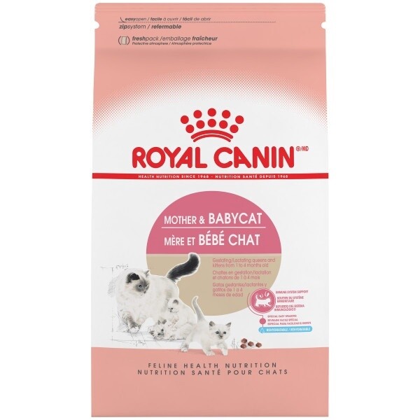 Royal Canin / Chat / mère et bébé