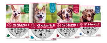 Elanco / K9 Advantix II pour chien