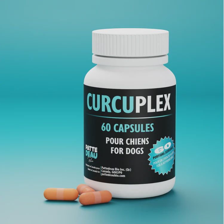 Pattedeau Bio / Curcuplex / 60 capsules
