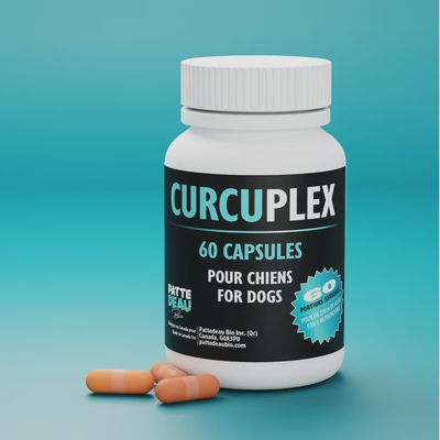 Pattedeau Bio / Curcuplex / 60 capsules