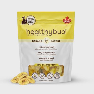 Healthybud / Chips de banane / 150g