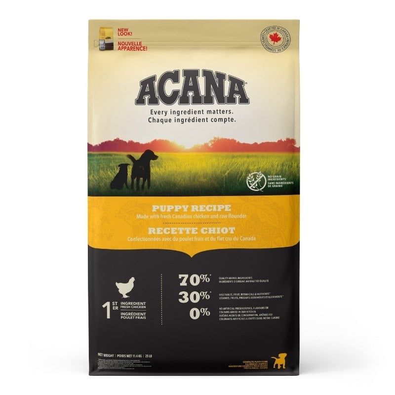 Acana / Chiot