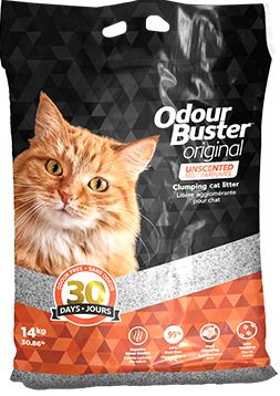 Intersand / Odour Buster / Chat / Litière, Choix: Original 14 kg / sans parfum