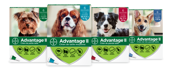 Elanco / Advantage II pour chien